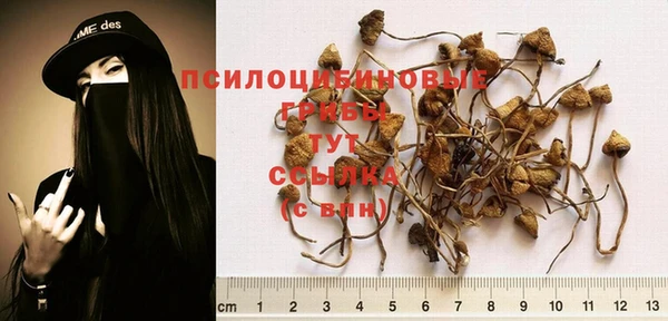 метадон Арсеньев
